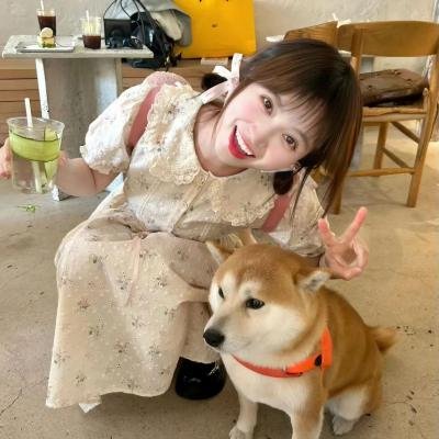 我们是 在线观看